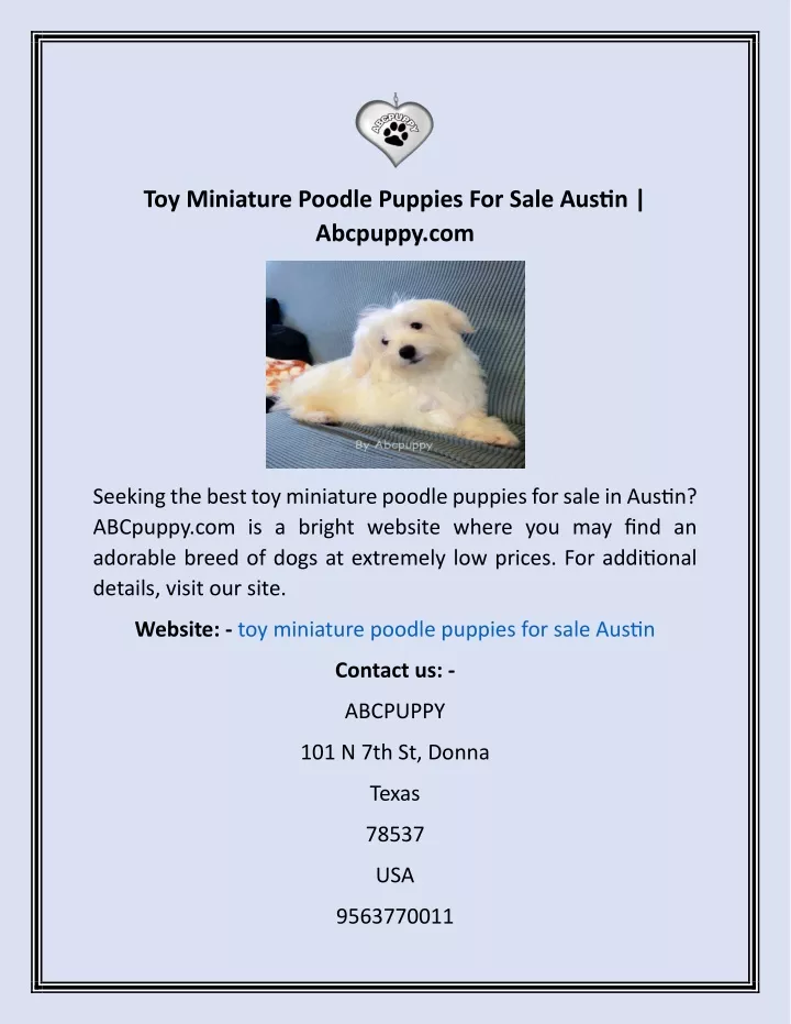 toy miniature poodle puppies for sale austin