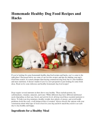 Homemade Healthy Dog Food Recipes and Hacks