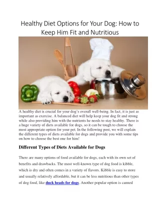 Healthy Diet Options for Your Dog How to Keep Him Fit and Nutritious