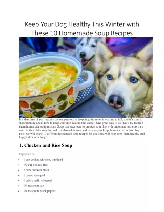 Keep Your Dog Healthy This Winter with These 10 Homemade Soup Recipes