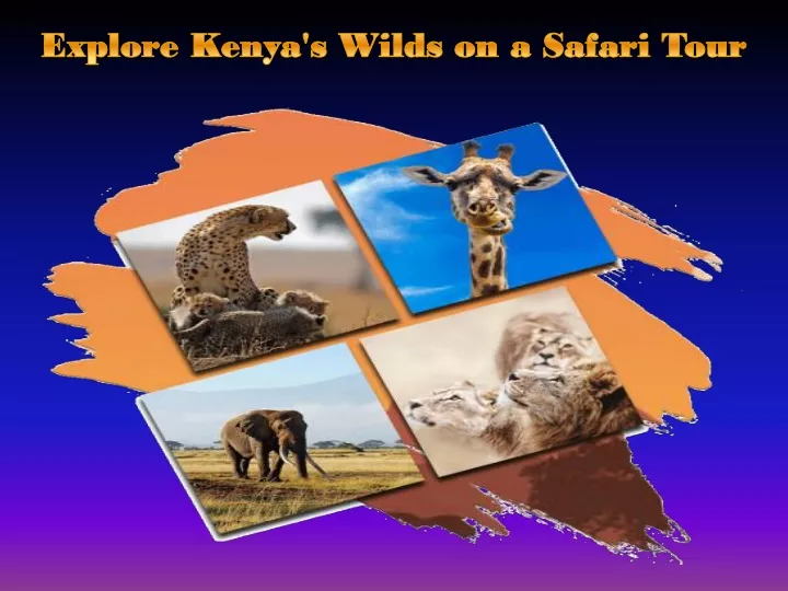 explore kenya s wilds on a safari tour