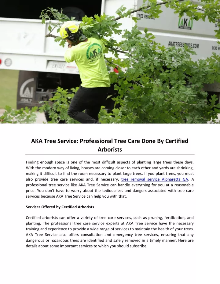 aka tree service professional tree care done