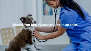 Should You Buy Veterinary Pet Insurance?