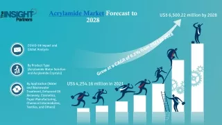 acrylamide market forecast to 2028