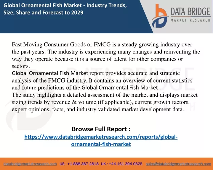 global ornamental fish market industry trends