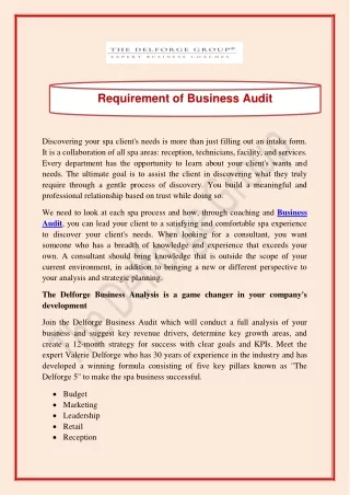 requirement of business audit
