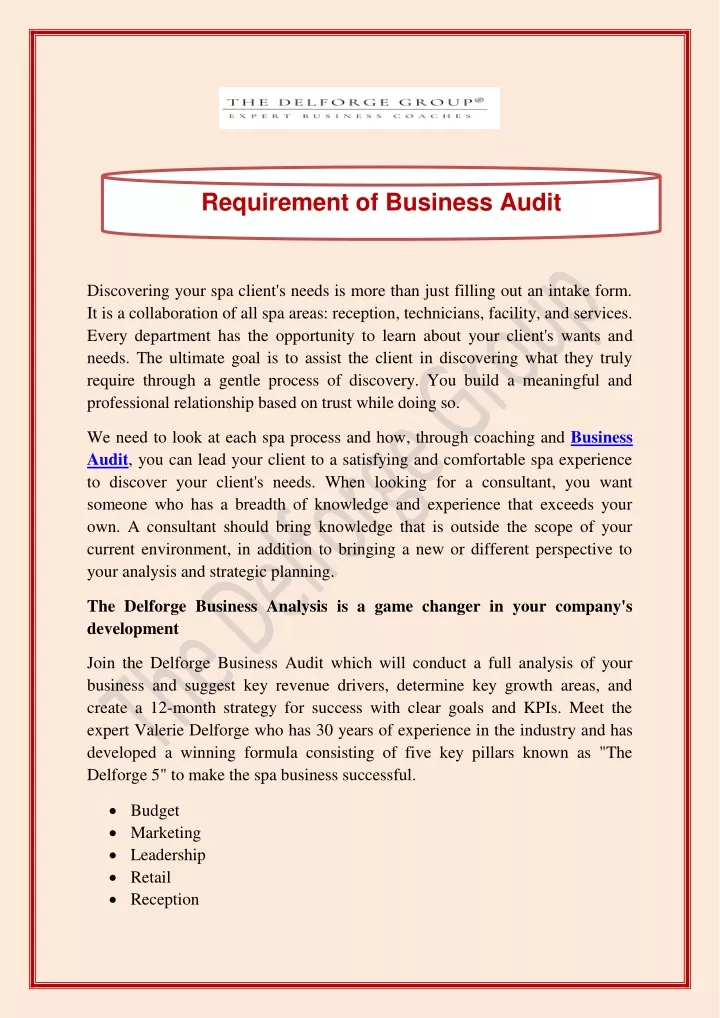 requirement of business audit