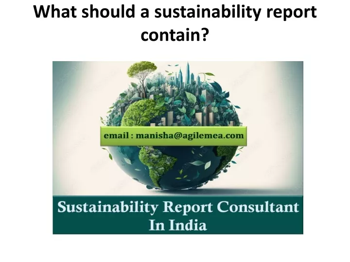 what should a sustainability report contain