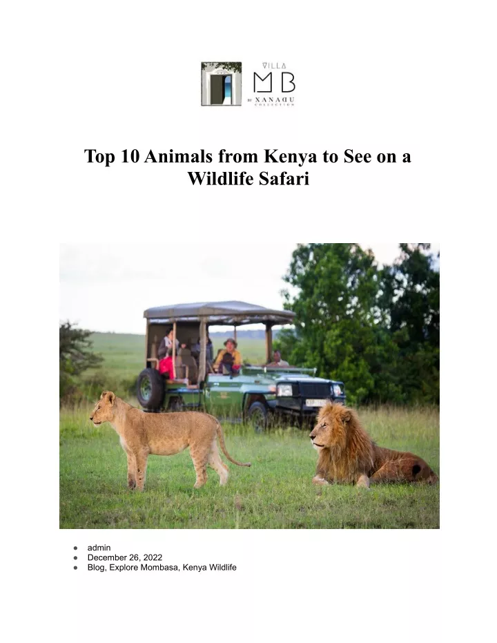 top 10 animals from kenya to see on a wildlife