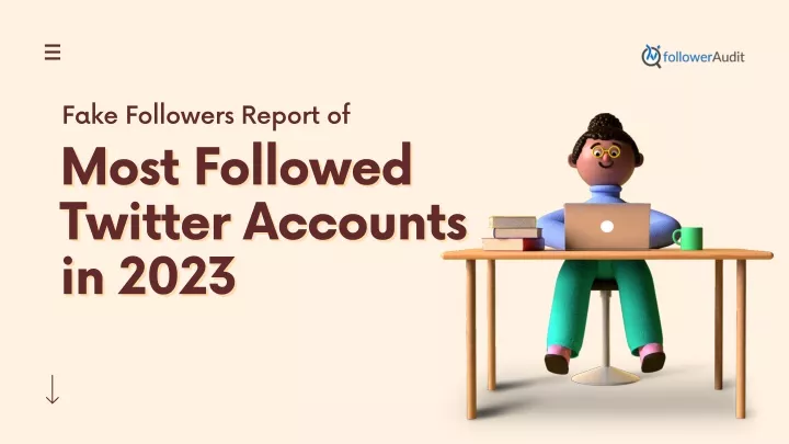 fake followers report of