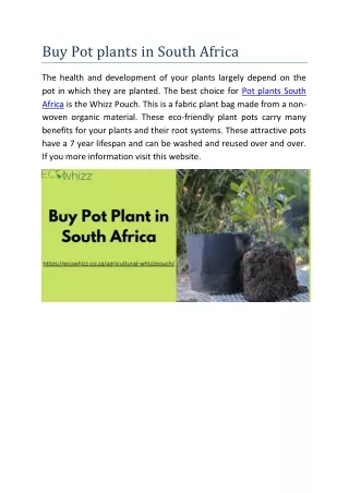 Buy Pot plants in South Africa