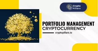 Professional portfolio management cryptocurrency for investors from crypto pillars