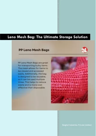 Leno Mesh Bag The Ultimate Storage Solution