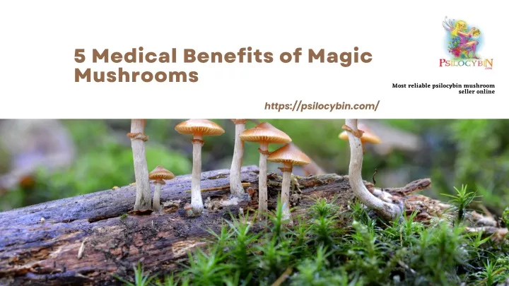 5 medical benefits of magic mushrooms