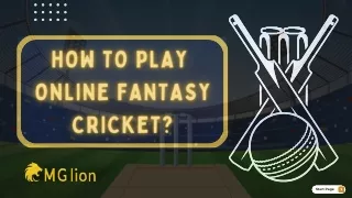 How to Play Online Fantasy Cricket?- MGLion