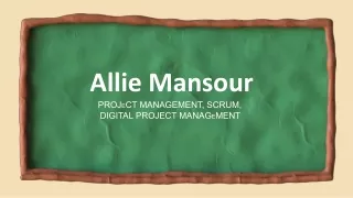 Allie Mansour - An Experienced Project Manager