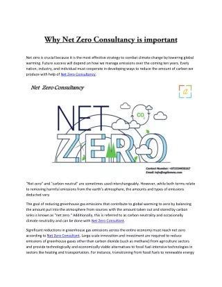 Why Net Zero Consultancy is important
