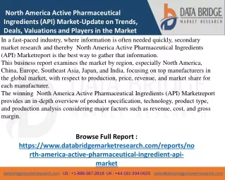 north-america-active-pharmaceutical-ingredient-api-market