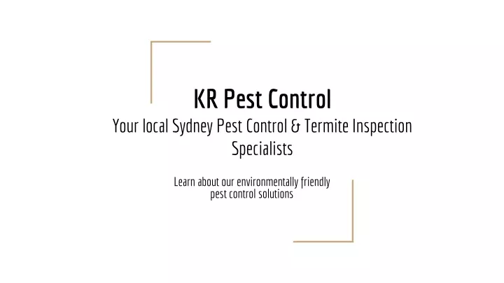 kr pest control your local sydney pest control termite inspection specialists
