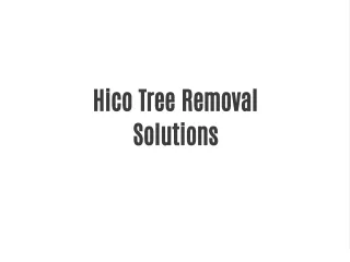 hico tree removal solutions