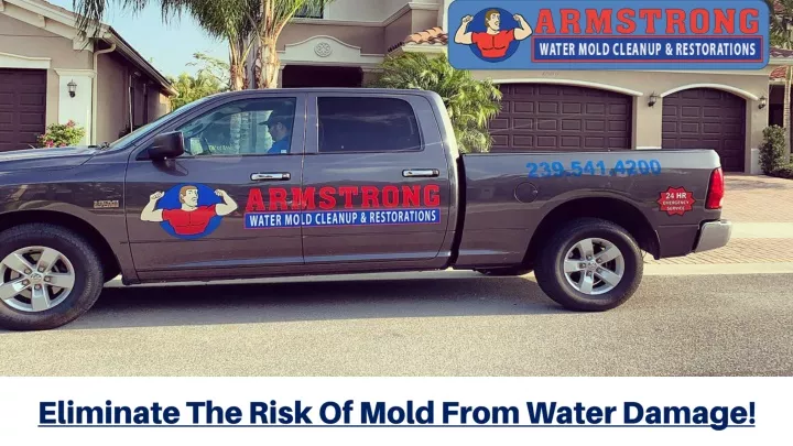 eliminate the risk of mold from water damage