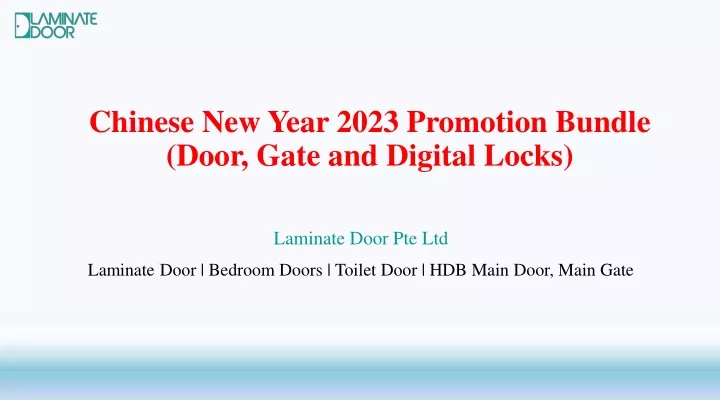 chinese new year 2023 promotion bundle door gate and digital locks