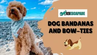 Stylish Dog Bandanas and Bow Ties | K9 Escapade