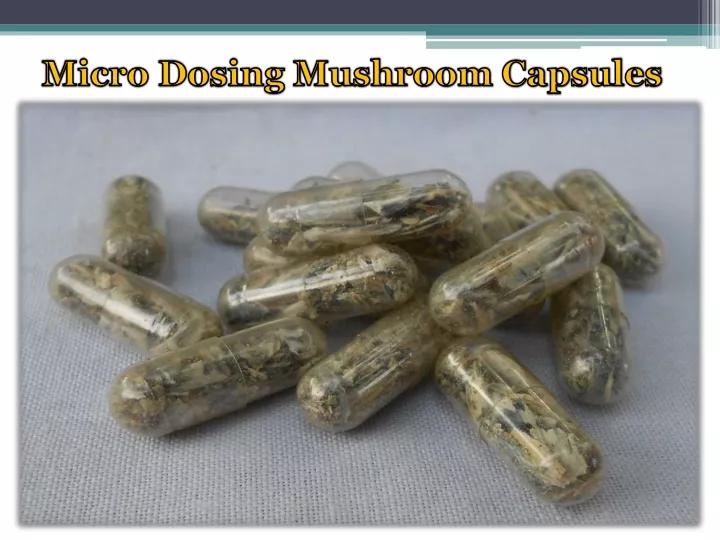 micro dosing mushroom capsules