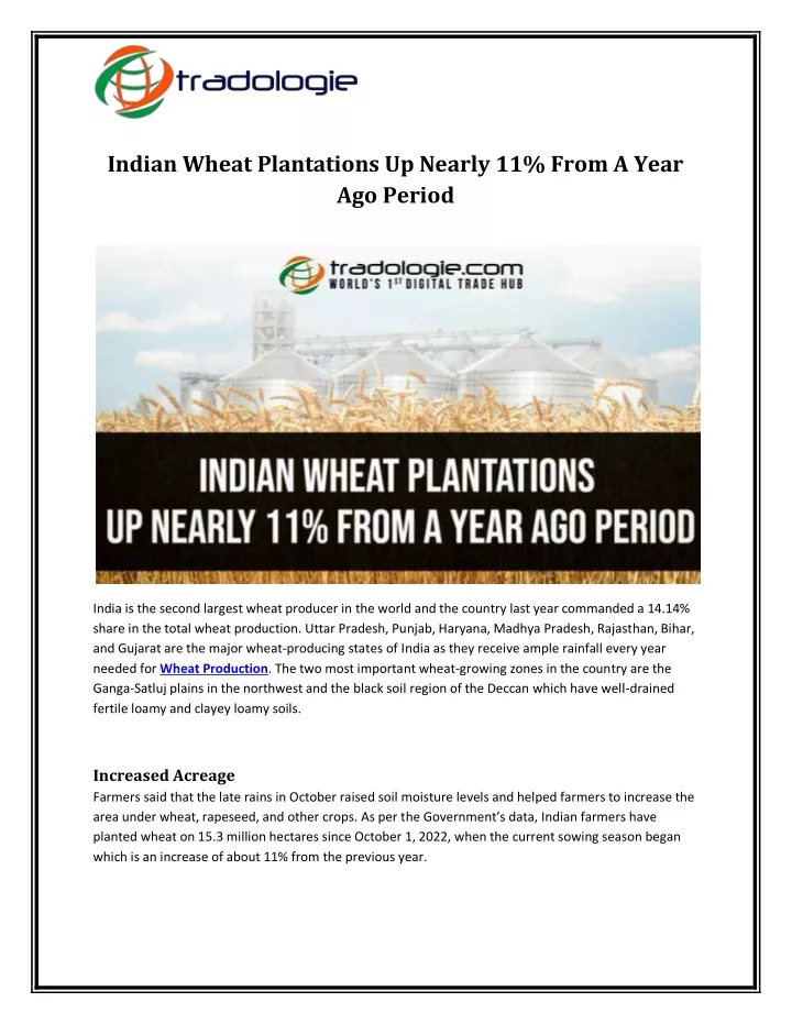 indian wheat plantations up nearly 11 from a year