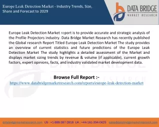 europe leak detection market industry trends size