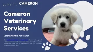 Introducing the Cameron Veterinary Services small animal clinic