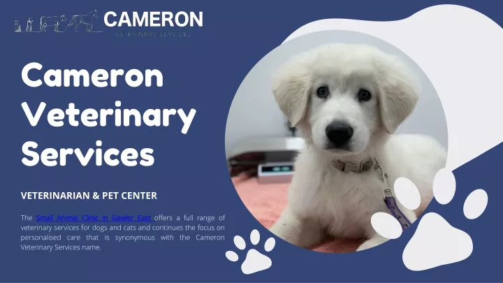 cameron veterinary services