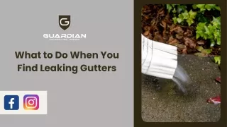 What to Do When You Find Leaking Gutters
