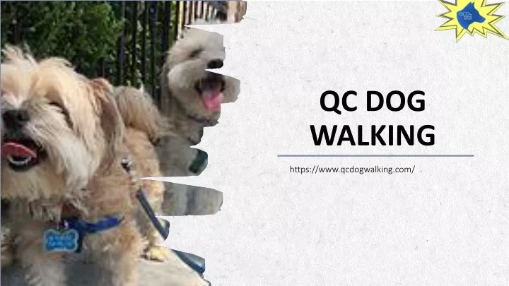 qc dog walking