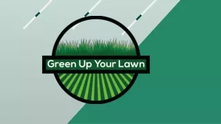 Say Goodbye To Brown Grass And Hello To A Lush Lawn