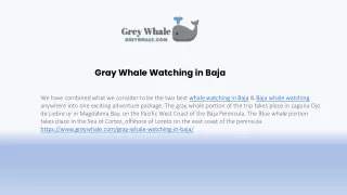 gray whale watching in baja