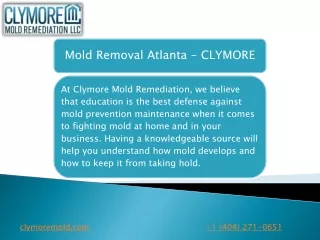 Mold Removal Atlanta