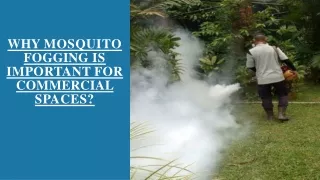 Why Mosquito Fogging Is Important for Commercial Spaces?