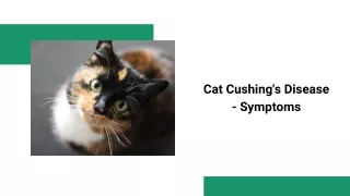 ppt-Cat Cushing's Disease - Symptoms