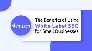 The benefits of using white label SEO for small businesses