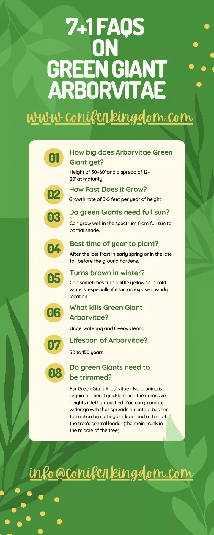 7 1 faqs on green giant arborvitae