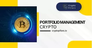 Expert portfolio management crypto For Investors At Crypto Pillars!