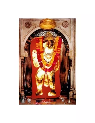Love Marriage Specialist Guru Ji  91-9056562757