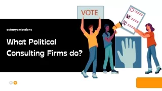 What Political Consulting Firms do