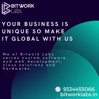 Bitwork Labs  Get Customized Software Development Services
