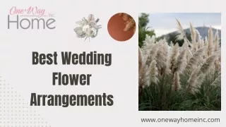 White Pampas Grass for Decoration - One Way Home