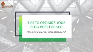Tips to Optimize Your Blog Post for SEO