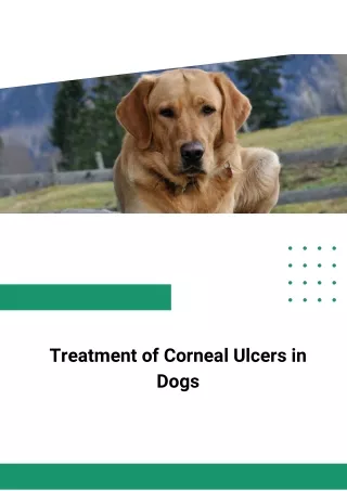 pdf-Treatment of Corneal Ulcers in Dogs