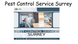 Pest Control Service Surrey