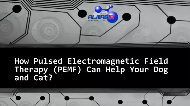 how pulsed electromagnetic field therapy pemf can help your dog and cat